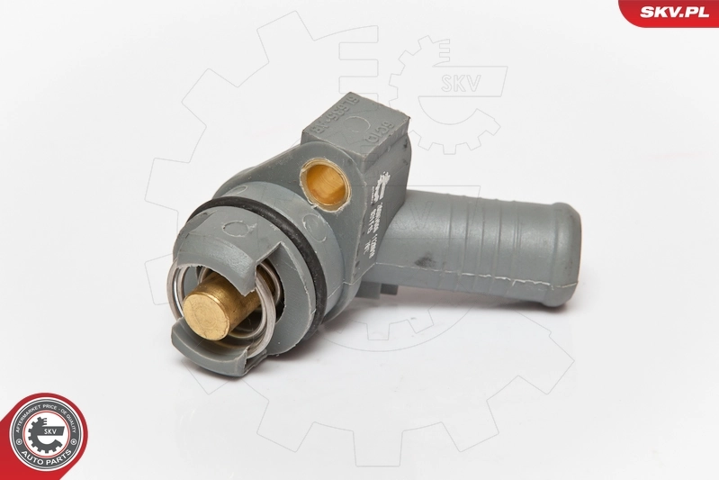 Thermostat, coolant